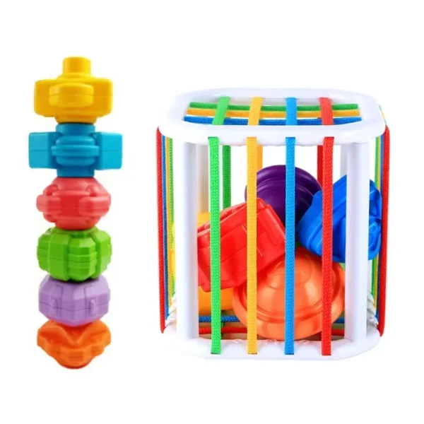Montessori Baby Toys 0-12 Months Sensory Development Learning Educational Toys Colorful Blocks Sorting Game For Babies Infant - Image 6